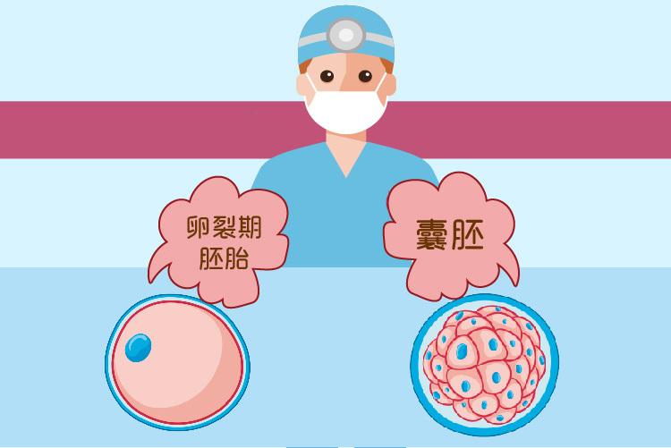 北京有第三代试管婴儿医院：你想要一个高的试管婴儿囊胚分数吗？这些是一些需要牢记的提示!