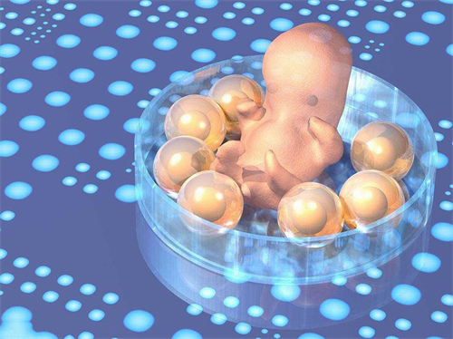 沧州供卵助孕成功率：卵子捐赠的成功率因人而异! 捐赠卵子成功率高的4个共同特点
