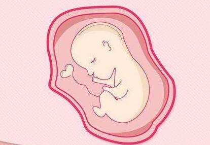 南昌49岁供卵试管助孕：子宫内膜只有5毫米，可以做试管婴儿吗？