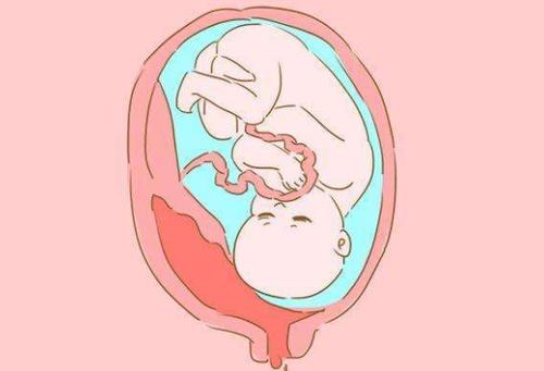 青岛56岁助孕机构-冷冻试管婴儿胚胎移植有什么条件吗？