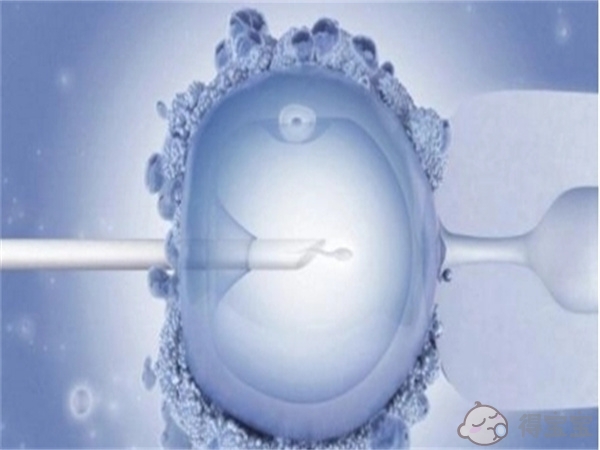 绵阳借卵试管助孕生男孩-2023年四川最好的不孕不育医院是哪家？[以目前的排名为准]