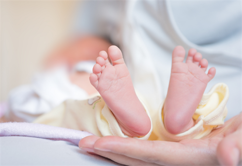 苏州借卵试管生儿子费用-2023年试管婴儿捐卵生子费用揭秘