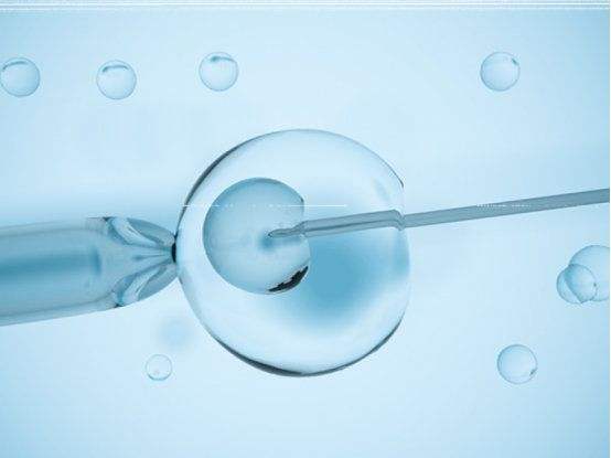 菏泽供卵试管助孕双胞胎：在试管婴儿移植过程中，用双胞胎胚胎可以生双胞胎吗？