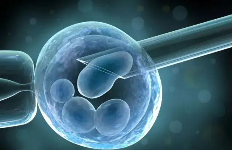 南昌les供卵机构：在排卵期进行冷冻胚胎移植的时机比较好