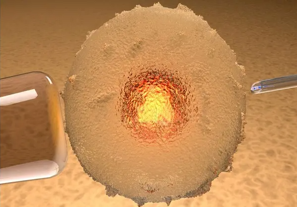 南昌助孕龙凤胎qq群：详细描述一个10细胞的3级胚胎的质量，它不被认为是优质胚胎。