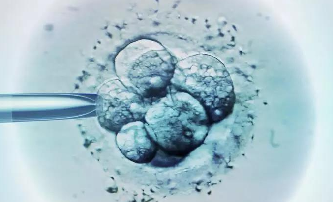 威海供卵助孕费用明细-如果您想知道一个三天大的10细胞胚胎是否具有良好的质量，请阅读关于胚胎分级的内容