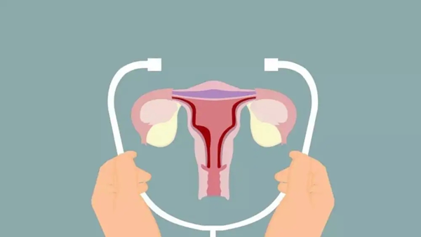 赣州助孕公司生孩子-在特殊情况下，即使子宫内膜的厚度超过12毫米，也有可能成功移植。