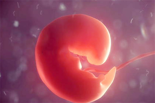 德州55岁合法助孕：广东男科试管婴儿医院三代套餐的权威发布! 解读辅助受孕的成功率和相关费用。