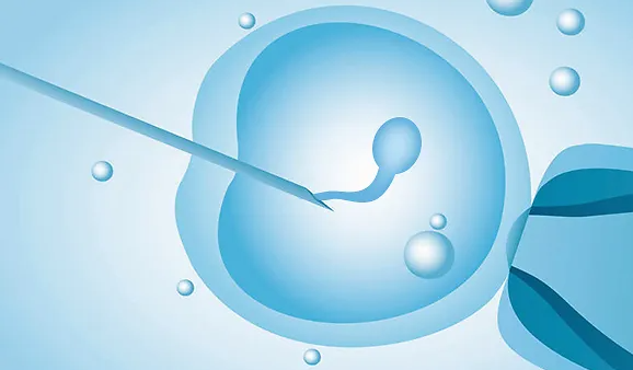 昆明三代供卵中介：什么是试管婴儿第3天胚胎报告，应该如何解读？