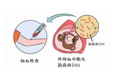 香港哪里可以助孕宝宝：不用飞到香港，在哪里可以抽血检测部分性别？