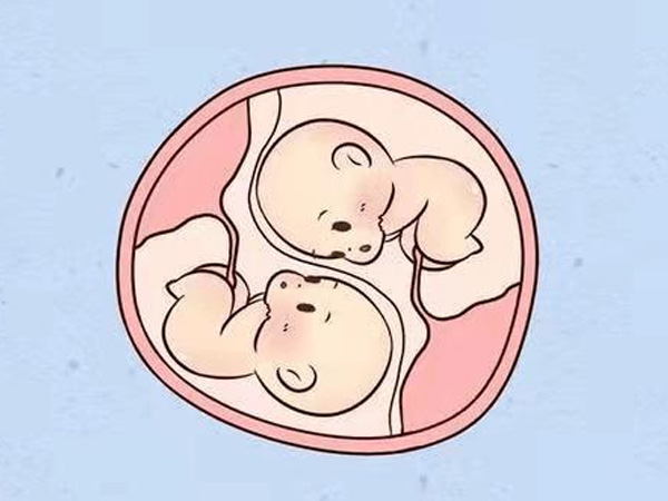 株洲供卵试管助孕生儿子：乌克兰试管婴儿双胞胎与世界上最好的卵子捐赠者合作