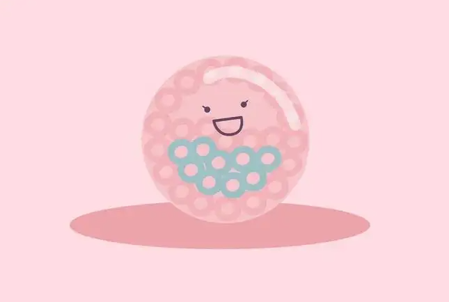 绵阳供卵信息-美国HRC的失败胶囊信息! 探讨囊胚养育成功率低的原因。