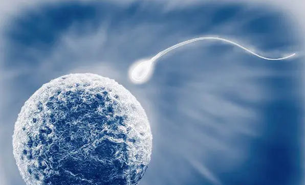 漳州二代供卵中介-文章中描述的第二代试管婴儿胚胎和第一代胚胎的质量区别。